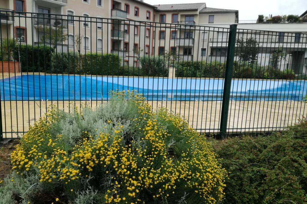 T2 Entier - Hyper Centre - Cosy Home Grenade-sur-Garonne Exterior foto